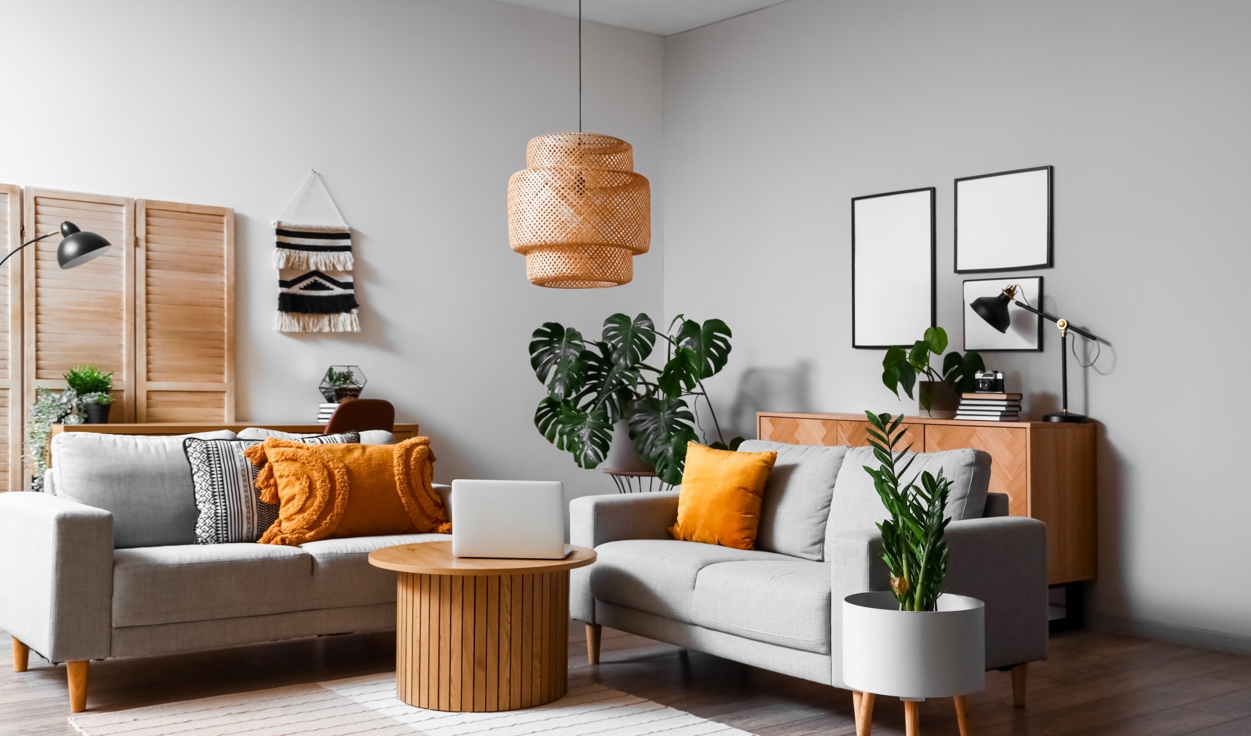 Apartment living room with furniture and plants